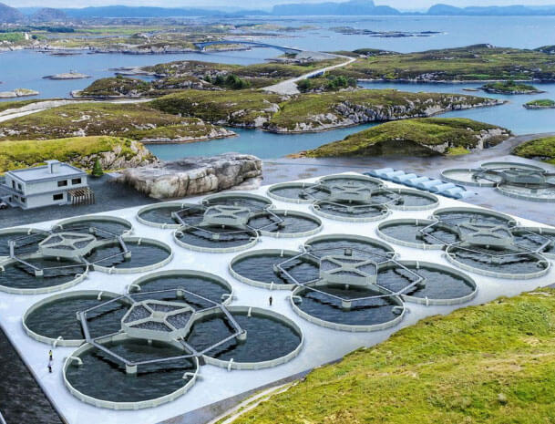 Seawater aquaculture